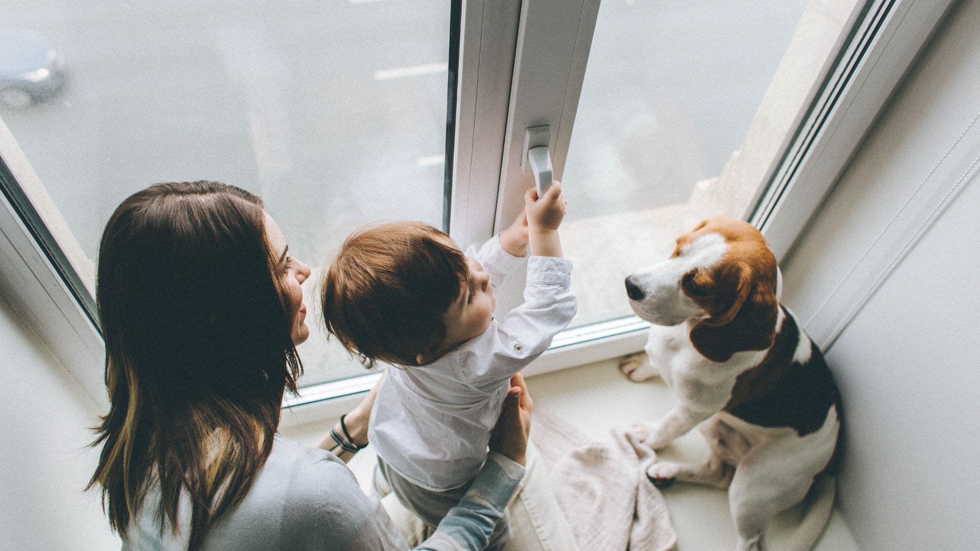 infissi con bambino e animale domestico